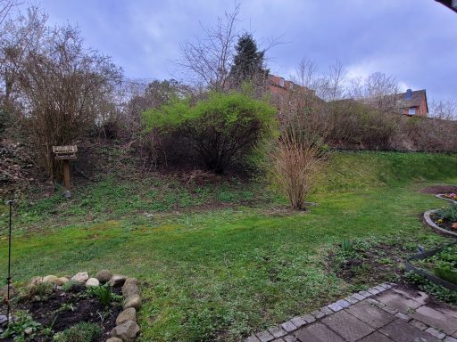 Grüner Garten mit Sträuchern und Bäumen unter einem bewölkten Himmel.