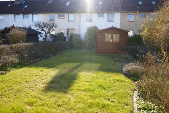 Grüner Garten mit einer Holzschuppen und Schatten von Bäumen bei Sonnenlicht.