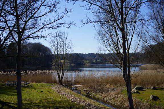 Blick auf einen ruhigen See umgeben von Bäumen und hohem Gras im Sonnenschein.