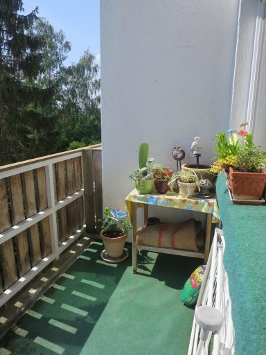 Balkon mit Tisch, Pflanzen und Sonnenlicht, umgeben von Bäumen im Hintergrund.
