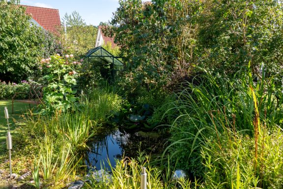 Garten mit dichtem Grün, Teichlauf, Schilf und Häusern im Hintergrund
